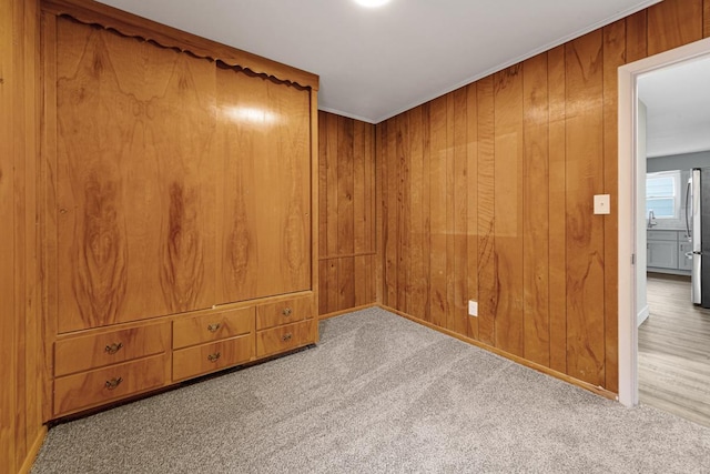710 Jefferson St, New Ulm, MN 56073 - spare room with carpet floors and wood walls