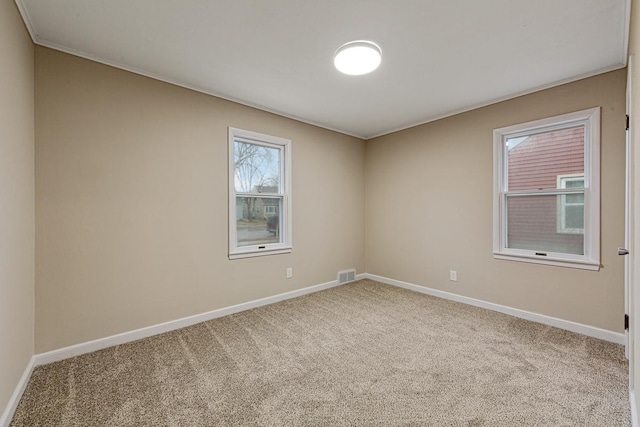 710 Jefferson St, New Ulm, MN 56073 - empty room featuring carpet and ornamental molding