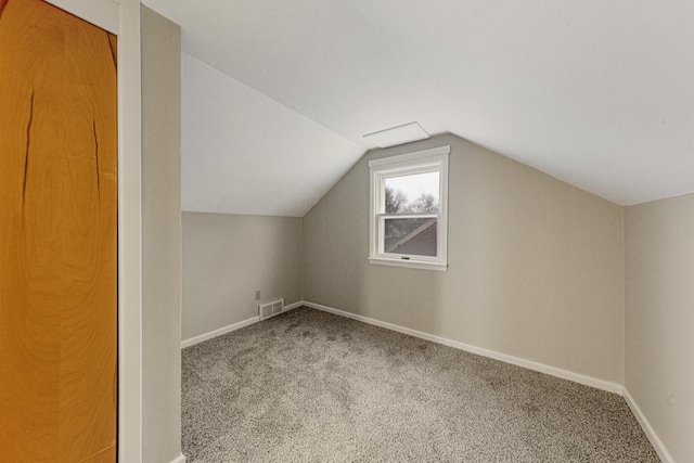 710 Jefferson St, New Ulm, MN 56073 - additional living space featuring carpet flooring and lofted ceiling