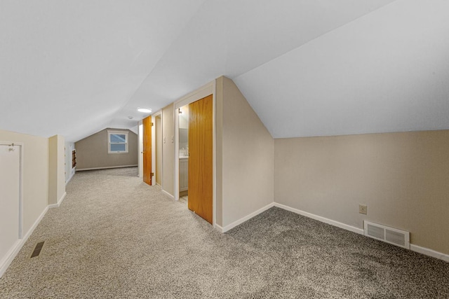 710 Jefferson St, New Ulm, MN 56073 - bonus room with carpet floors and lofted ceiling