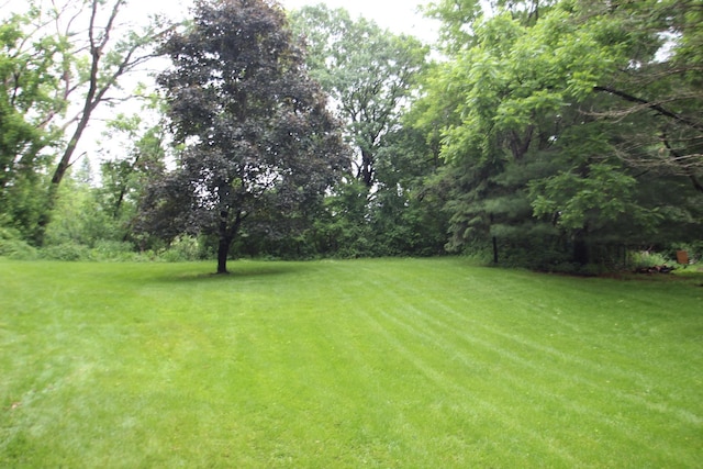 13445 190th Ave NW, Elk River, MN 55330 - view of grassy yard