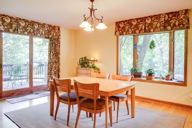 13445 190th Ave NW, Elk River, MN 55330 - dining room with wood finished floors and a chandelier