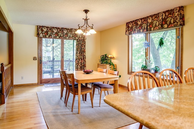 13445 190th Ave NW, Elk River, MN 55330 - dining space featuring healthy amount of natural light, light wood-style floors, a chandelier, and a textured ceiling