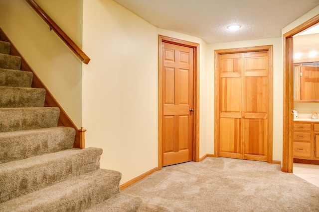 13445 190th Ave NW, Elk River, MN 55330 - staircase with carpet and a textured ceiling