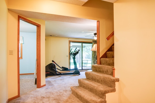 13445 190th Ave NW, Elk River, MN 55330 - stairs with carpet floors and ceiling fan