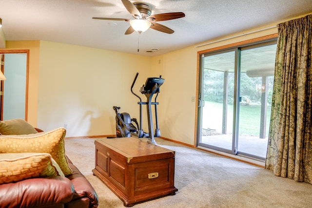 13445 190th Ave NW, Elk River, MN 55330 - living room with light colored carpet and ceiling fan