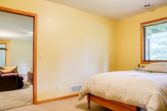 13445 190th Ave NW, Elk River, MN 55330 - carpeted bedroom featuring a textured ceiling