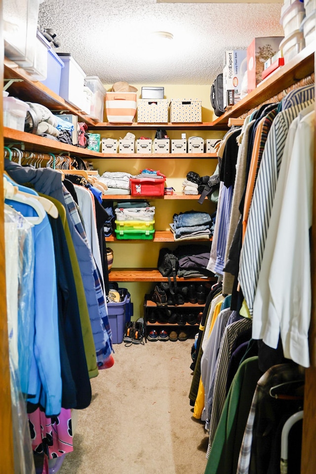 13445 190th Ave NW, Elk River, MN 55330 - spacious closet with carpet
