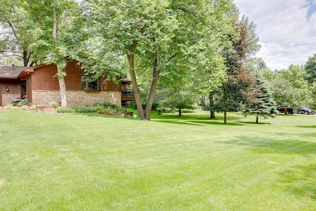 13445 190th Ave NW, Elk River, MN 55330 - view of grassy yard