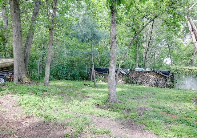 13445 190th Ave NW, Elk River, MN 55330 - view of yard with a forest view