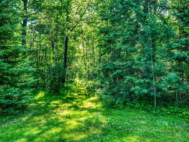 24589 498th St, Helga Twp, MN 56601 - photo 57