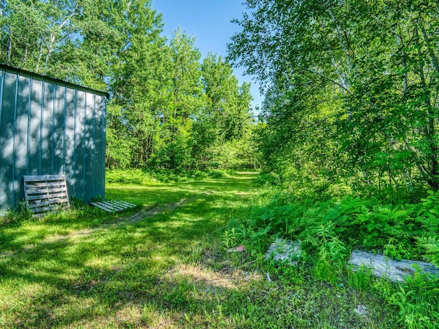 24589 498th St, Helga Twp, MN 56601 - photo 58