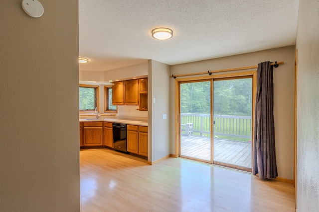 24589 498th St, Helga Twp, MN 56601 - photo 11