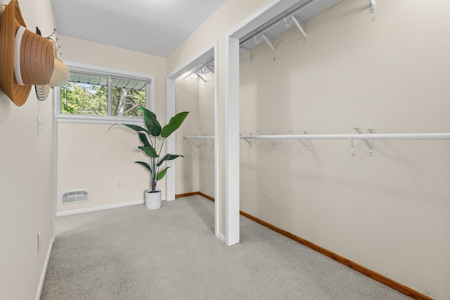 12329 Timber Ln, Maple Grove, MN 55369 - spacious closet with carpet floors