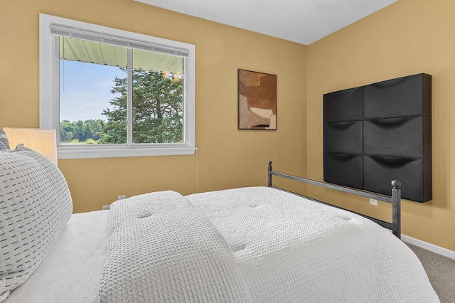 12329 Timber Ln, Maple Grove, MN 55369 - bedroom featuring carpet floors and baseboards