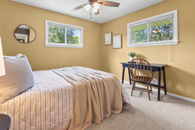 12329 Timber Ln, Maple Grove, MN 55369 - carpeted bedroom with multiple windows and a ceiling fan