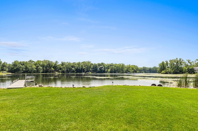 12329 Timber Ln, Maple Grove, MN 55369 - water view with a dock