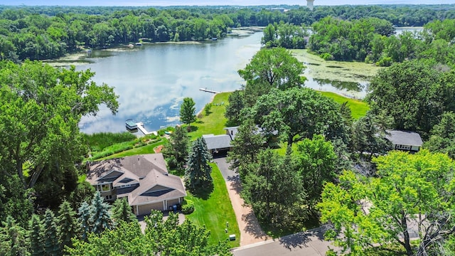 12329 Timber Ln, Maple Grove, MN 55369 - bird's eye view of a large body of water and a forest