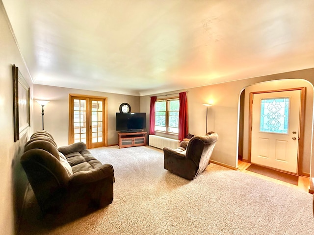 215 1st St N, Cannon Falls, MN 55009 - living area with arched walkways, carpet floors, and french doors