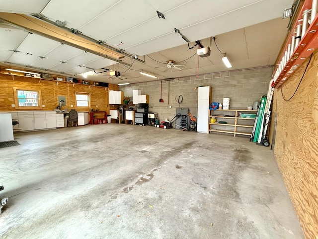 215 1st St N, Cannon Falls, MN 55009 - garage featuring a garage door opener