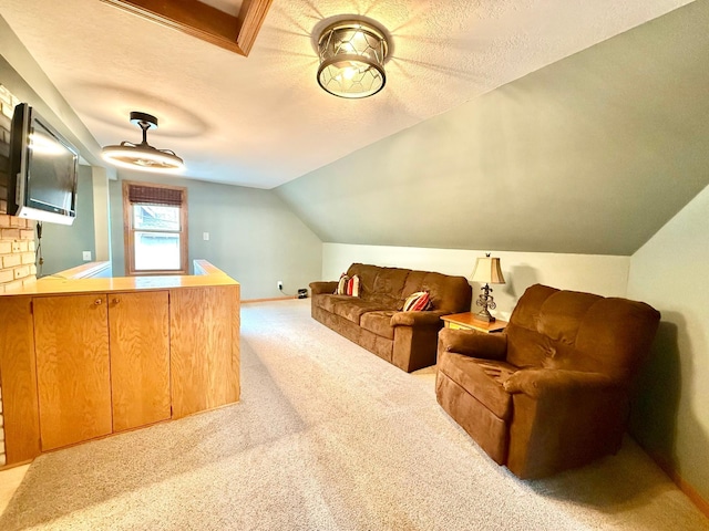 215 1st St N, Cannon Falls, MN 55009 - bonus room featuring vaulted ceiling, carpet, and a textured ceiling