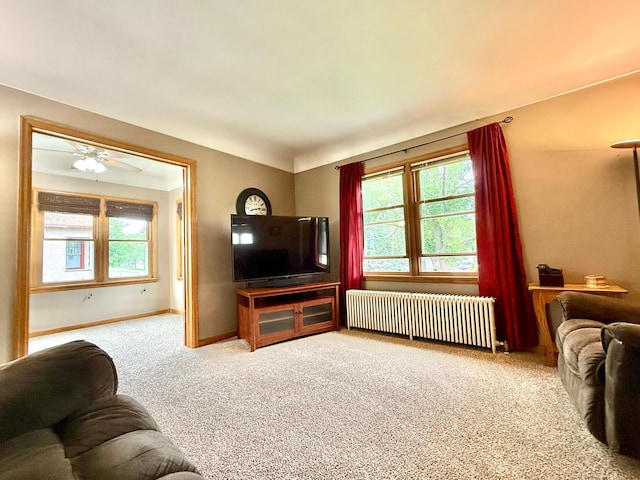 215 1st St N, Cannon Falls, MN 55009 - photo 6