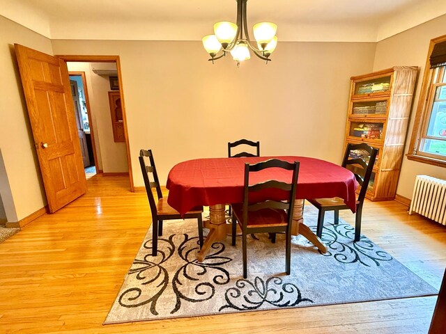 215 1st St N, Cannon Falls, MN 55009 - photo 18
