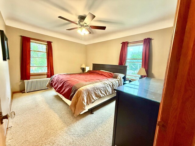 215 1st St N, Cannon Falls, MN 55009 - photo 20