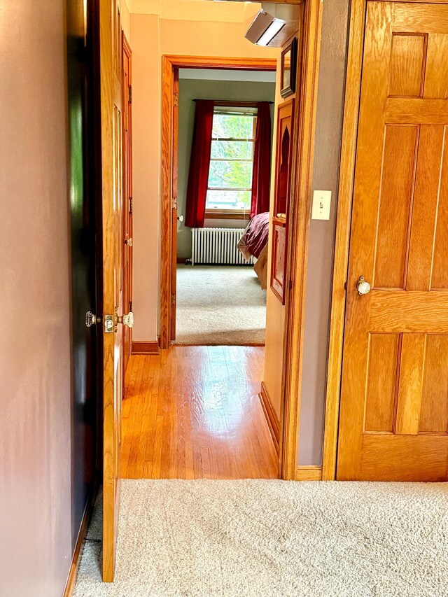 215 1st St N, Cannon Falls, MN 55009 - photo 26