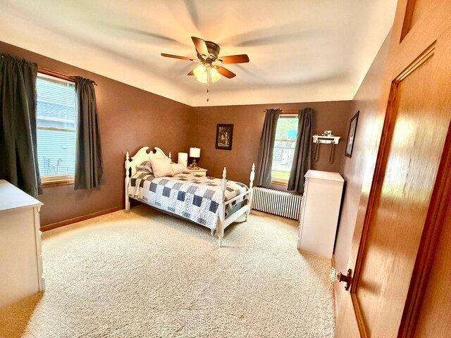 215 1st St N, Cannon Falls, MN 55009 - photo 29