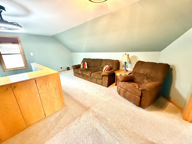 215 1st St N, Cannon Falls, MN 55009 - photo 32