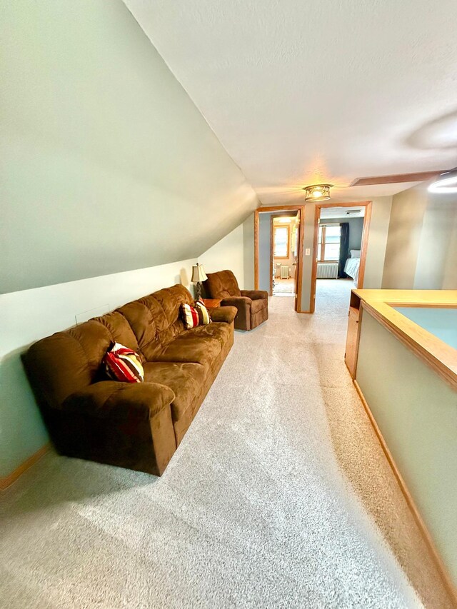215 1st St N, Cannon Falls, MN 55009 - photo 33