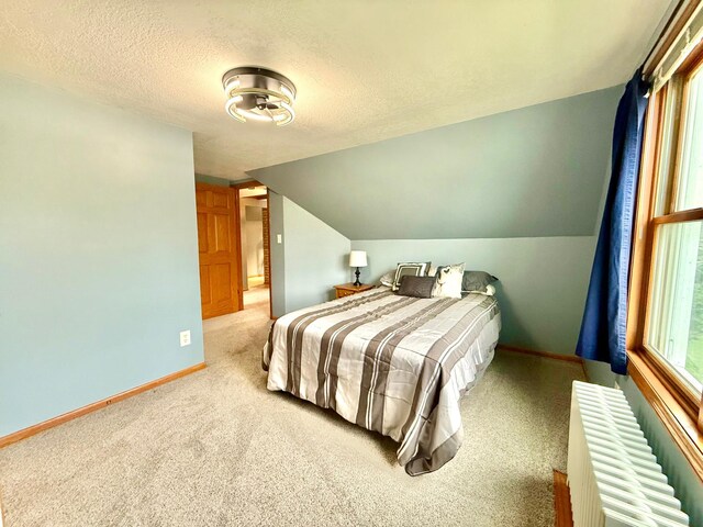 215 1st St N, Cannon Falls, MN 55009 - photo 38