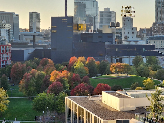 1240 2nd St Unit 1024, Minneapolis, MN 55415 - view of city skyline