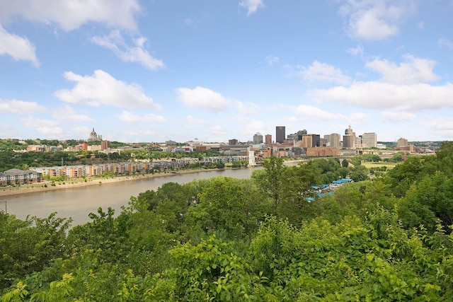 721 Smith Ave S, Saint Paul, MN 55107 - water view featuring skyline