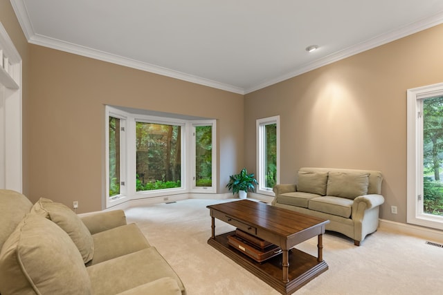 19750 Muirfield Cir, Excelsior, MN 55331 - photo 24