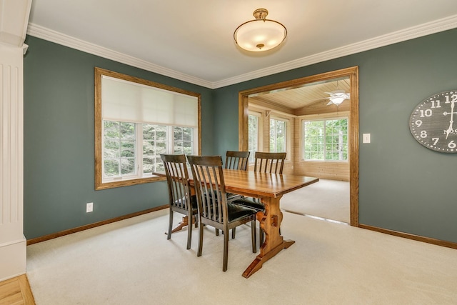 989 Kadler Ave NE, Saint Michael, MN 55376 - dining area featuring carpet and crown molding