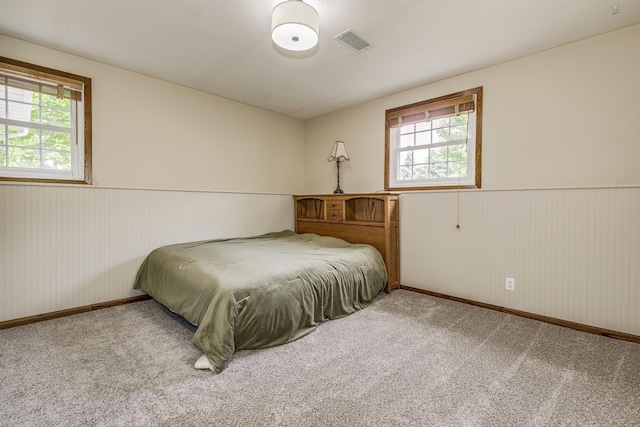 989 Kadler Ave NE, Saint Michael, MN 55376 - carpeted bedroom featuring wainscoting and multiple windows