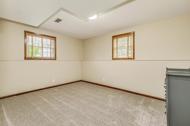 989 Kadler Ave NE, Saint Michael, MN 55376 - spare room featuring plenty of natural light, a wainscoted wall, and carpet flooring