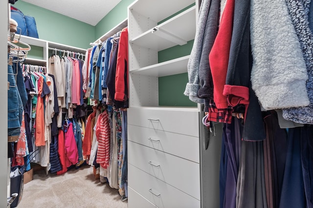 12322 Coffee Trl, Rosemount, MN 55068 - walk in closet with carpet