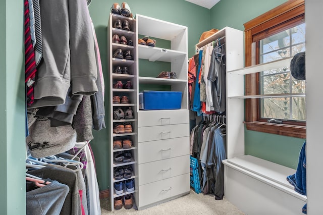 12322 Coffee Trl, Rosemount, MN 55068 - spacious closet featuring carpet