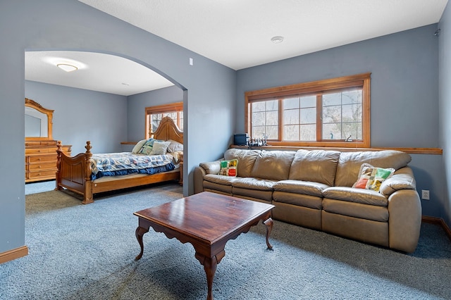12322 Coffee Trl, Rosemount, MN 55068 - carpeted bedroom featuring arched walkways and multiple windows