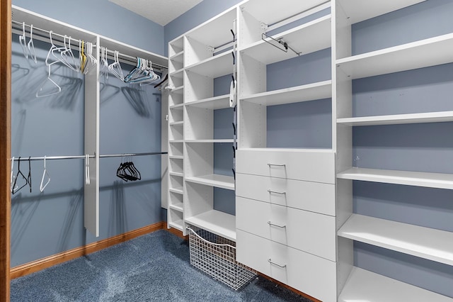 12322 Coffee Trl, Rosemount, MN 55068 - walk in closet featuring carpet flooring