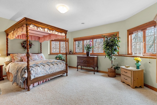 12322 Coffee Trl, Rosemount, MN 55068 - bedroom featuring carpet floors