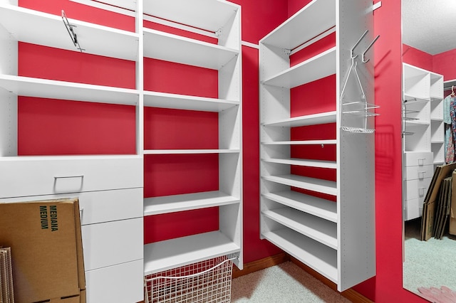 12322 Coffee Trl, Rosemount, MN 55068 - view of walk in closet