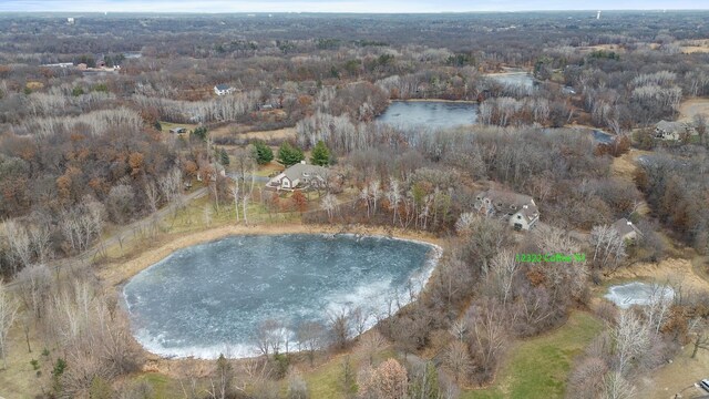 12322 Coffee Trl, Rosemount, MN 55068 - aerial overview of property's location with a nearby body of water and a forest