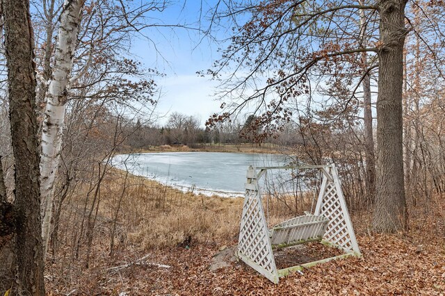 12322 Coffee Trl, Rosemount, MN 55068 - water view