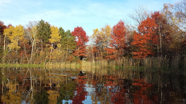 12322 Coffee Trl, Rosemount, MN 55068 - water view with a forest