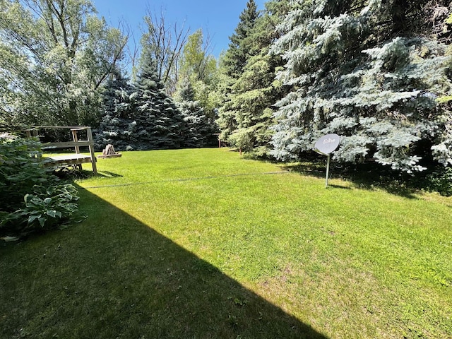 300 Lyon St, Minneota, MN 56264 - view of green lawn