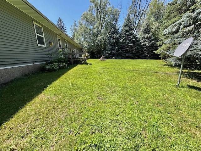 300 Lyon St, Minneota, MN 56264 - view of green lawn